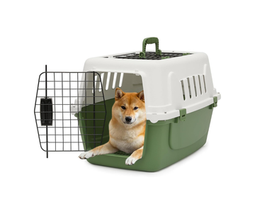 22" Hard-Sided Travel Pet Carrier for Small Dogs and Cats, Plastic Dog Crate with 2-Door Top & Front Load, Ventilation, Security Lock, Cat Dog Carrier for Pet, up to 22lbs, Green