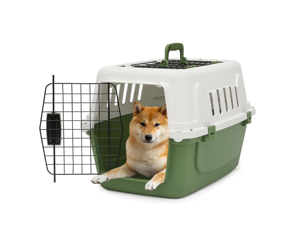 22" Hard-Sided Travel Pet Carrier for Small Dogs and Cats, Plastic Dog Crate with 2-Door Top & Front Load, Ventilation, Security Lock, Cat Dog Carrier for Pet, up to 22lbs, Green