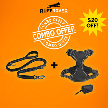 The Ultimate Leash & Harness Combo