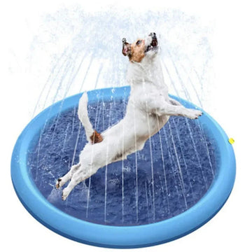 Summer Splash Pool for Dogs